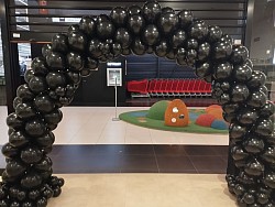 Arche noir